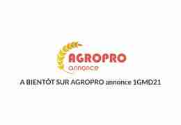 Agropro Annonce referencia seus produtos no google